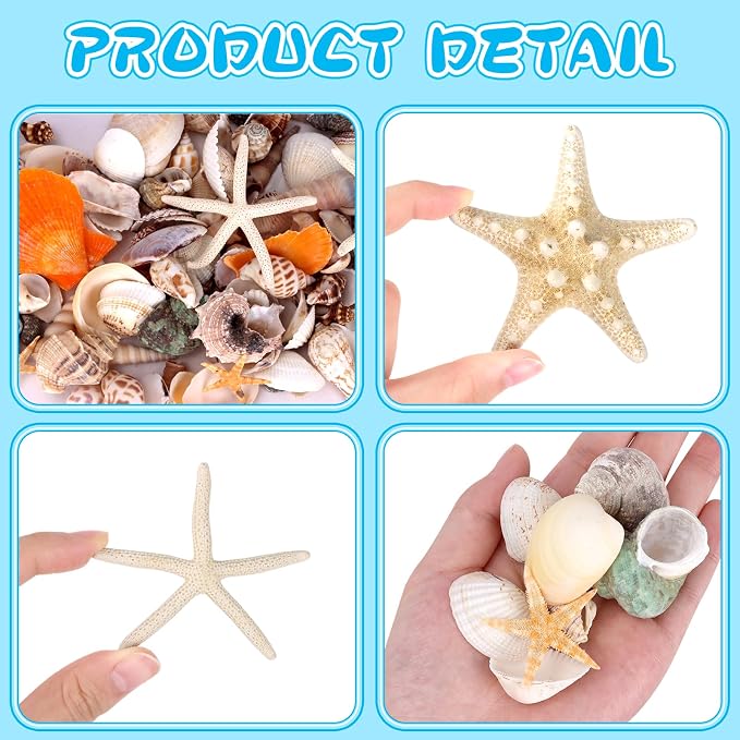 WEOXPR Mixed Seashells & Starfish Decor - Image 8