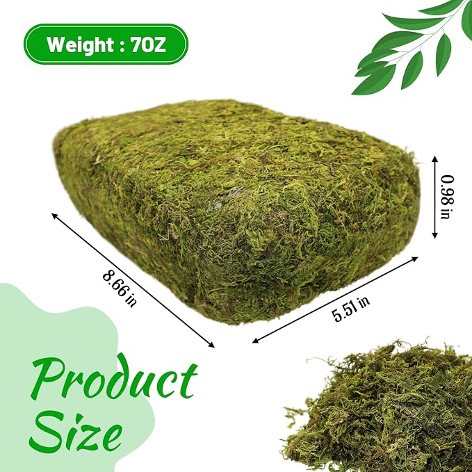 Riare 7OZ Natural Moss Artificial Fake Moss Alternative - Image 2