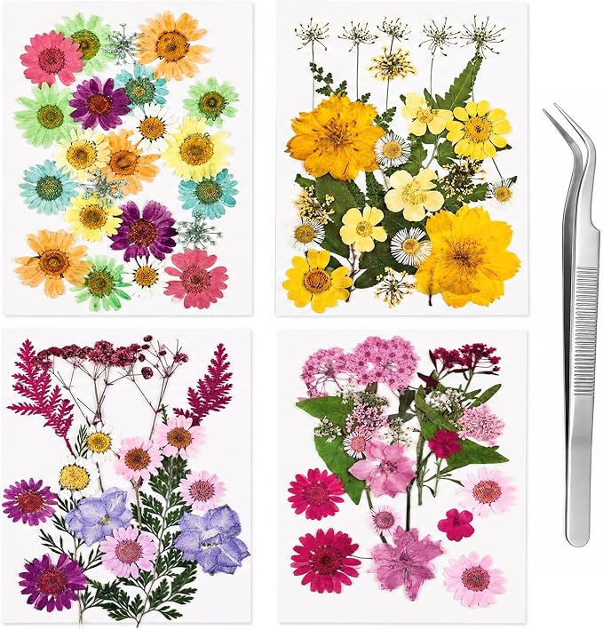 80Pcs Dried Pressed Flowers for Resin, Real Natural Flowers & Leaves Set by LiveNaturalwithWM