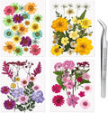 80Pcs Dried Pressed Flowers for Resin, Real Natural Flowers & Leaves Set by LiveNaturalwithWM
