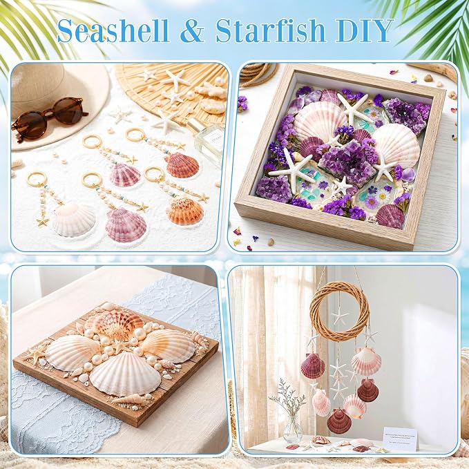Junkin 40 Pack Natural Scallop Shells and Artificial Starfish - Image 4