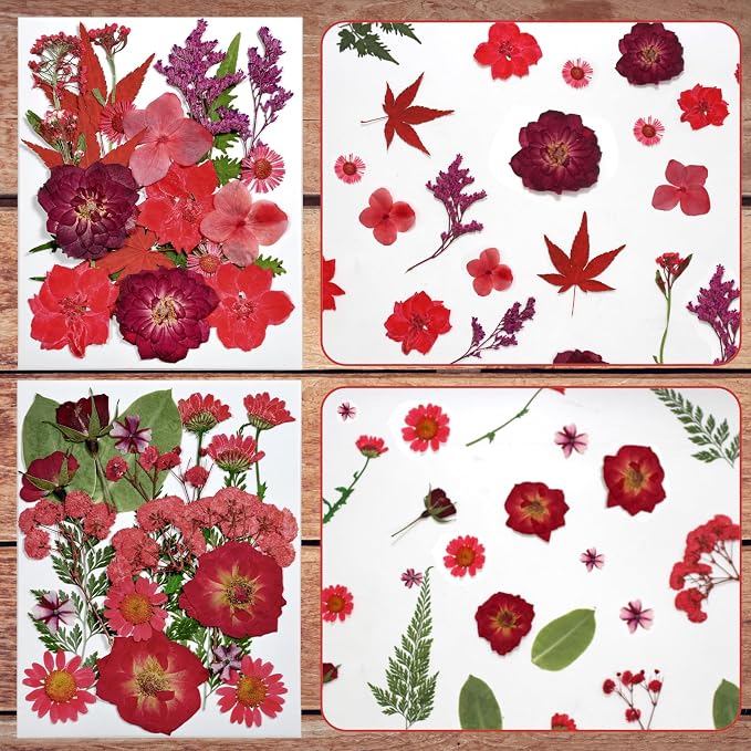 Dried Flowers for Resin | Vacuum Packed DIY Pressed Flowers for Epoxy, Nail - Image 5