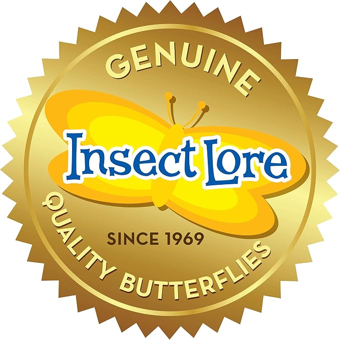 Insect Lore Raise and Release Butterfly Garden Kit – Caterpillar Habitat - Image 11