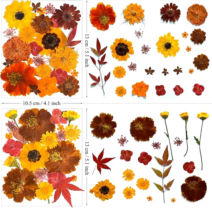 130Pcs Orange Fall Pressed Dried Flowers and Butterfly - Image 6