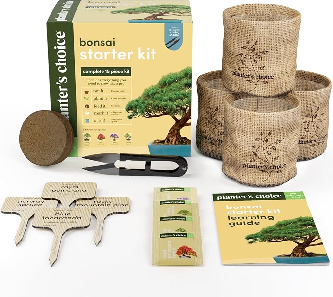 Planter's Choice Bonsai Tree Kit - Image 8