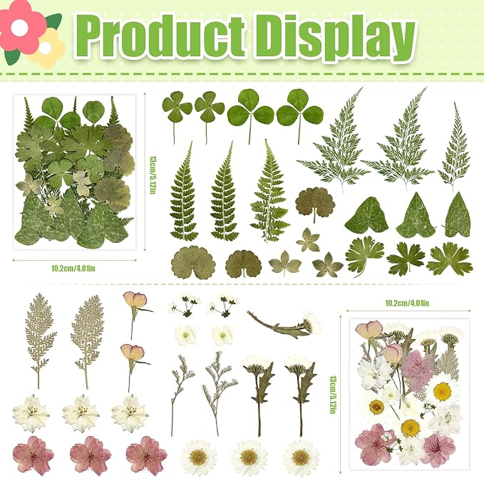 110Pcs Dried Flowers for Crafts, Real Pressed Flowers Dry Leaves Bulk Natural - Image 2