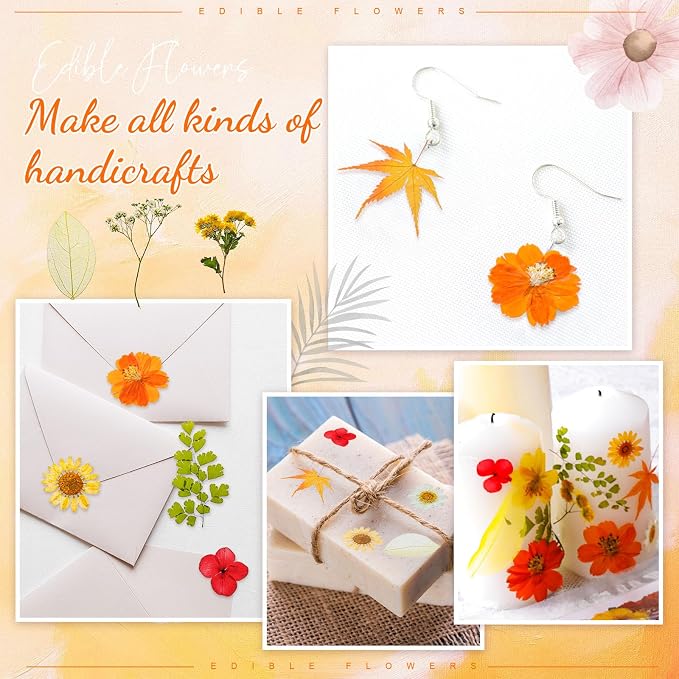 96 Pcs Natural Dried Pressed Flowers - Image 5