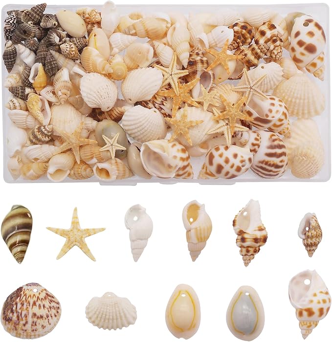 yaokan Natural Sea Shells & Starfish Set, Drilled Beach Shells | DIY Crafts by yaokan