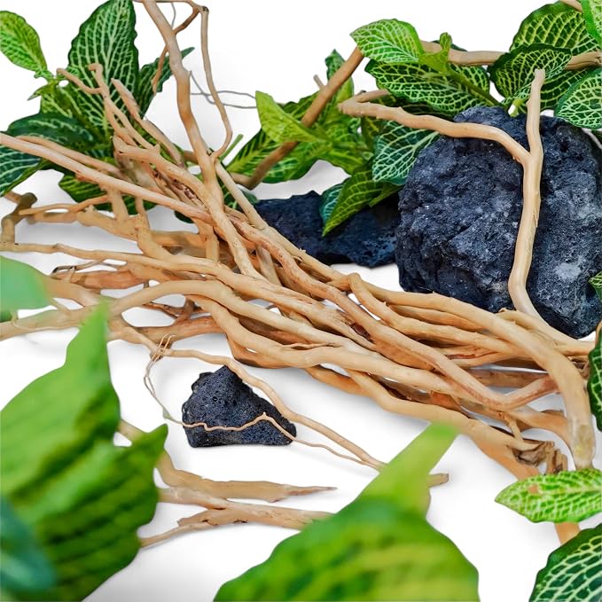 Azil Natural Aquarium Driftwood Root – Driftwood - Image 5