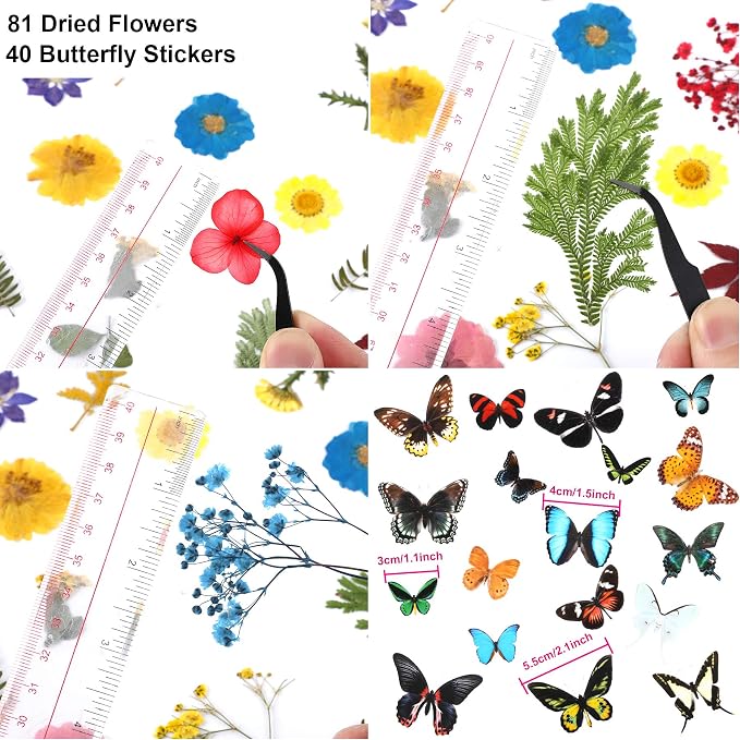 Augshy Real Dried Pressed Flower Set - Image 2