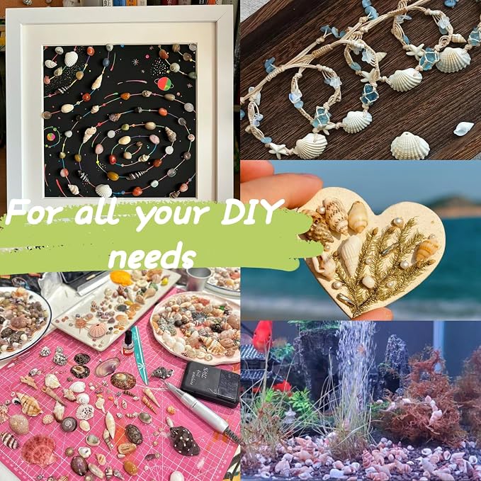 1200 PCS Tiny Sea Shells &10 Small Starfish - Image 6