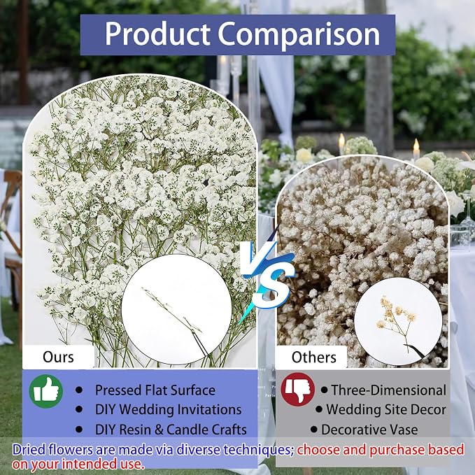 56Pcs Babys Breath Mini Dried Pressed Flowers - Image 7