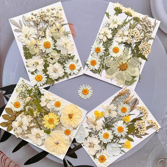 MIKIYA 90Pcs White Dried Pressed Flowers - Image 3
