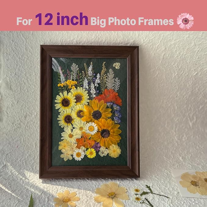 A4 Large Dried Pressed Flowers for Resin - Image 3