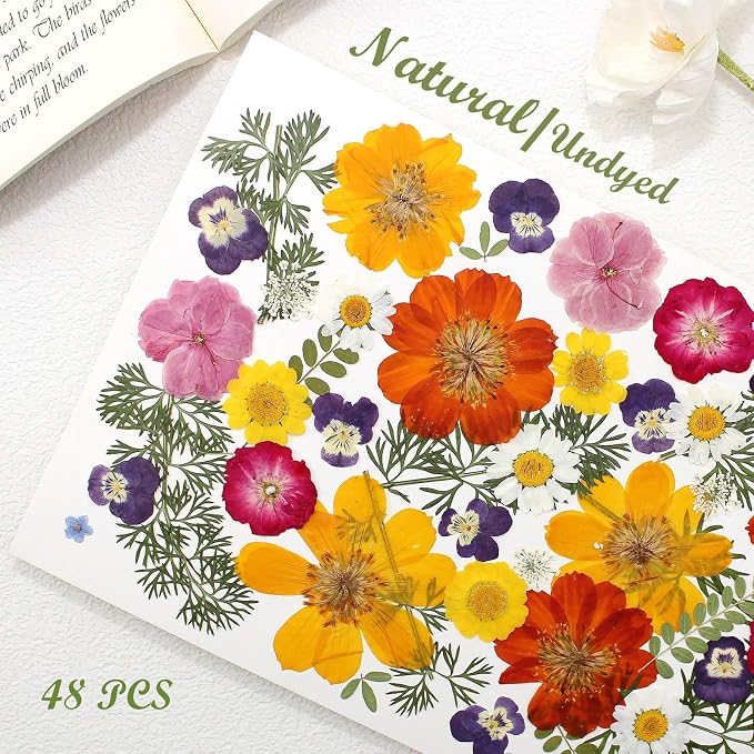 48 Pcs Mix Natural Dried Pressed Flowers - Image 8