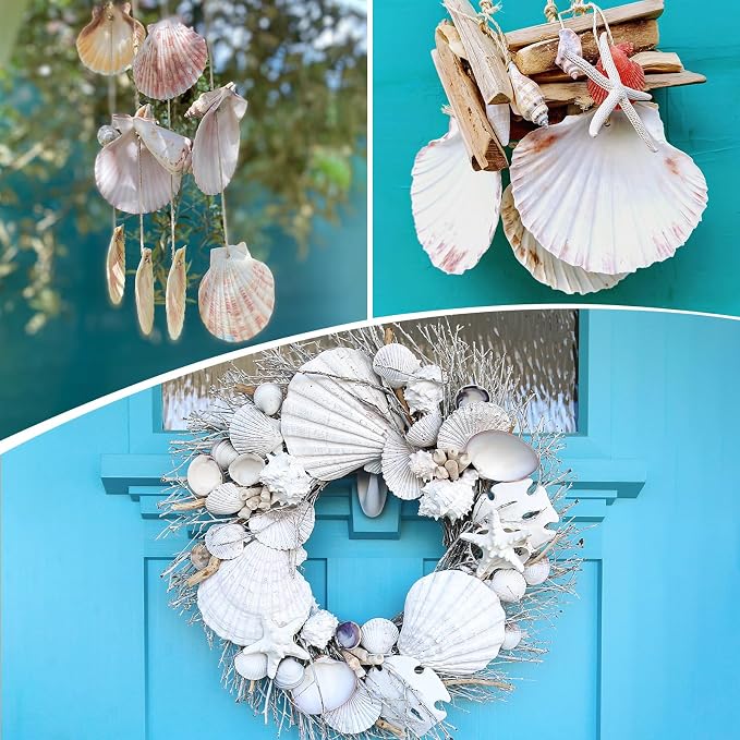 25 Pcs Large Scallop Shells for Crafts 4''-5'' White Scallop Shells Large - Image 4