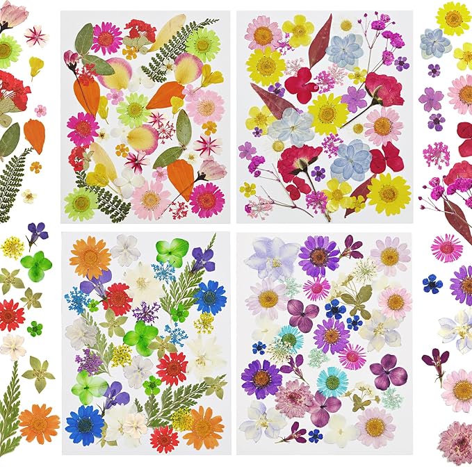 150 Pcs Pressed Flowers Bulk Dried Flower - Image 7