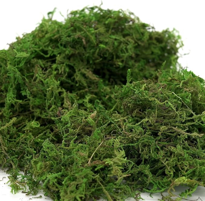 USMOLA Artificial Moss, 16OZ Fake Moss - Image 5