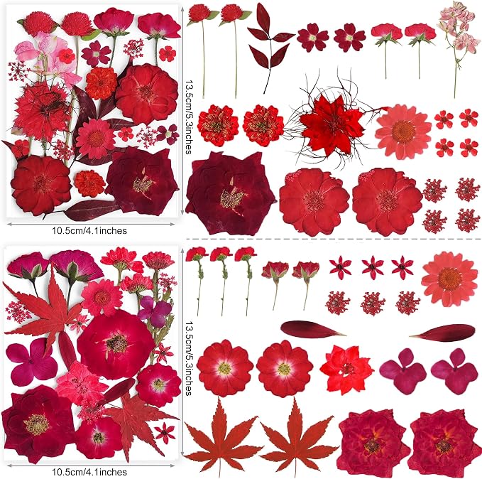 150PCS Red Dried Pressed Flowers - Image 3