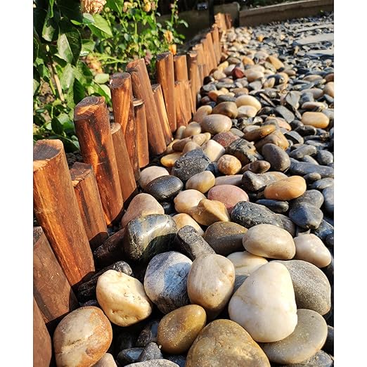 FANTIAN 10 lbs Stones for Plants, 1-2 inch Polished Pebbles for Indoor Plants - Image 5