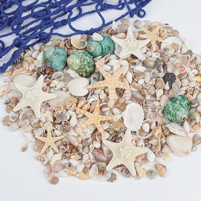 Fangoo 1500 Pieces Small Sea Shells Conch Natural Starfish Mixed Agate Pebble - Image 8