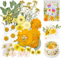 Dried Pressed Flowers for Resin, Scrapbooking, Soap Candle Making, DIY by VitalForest
