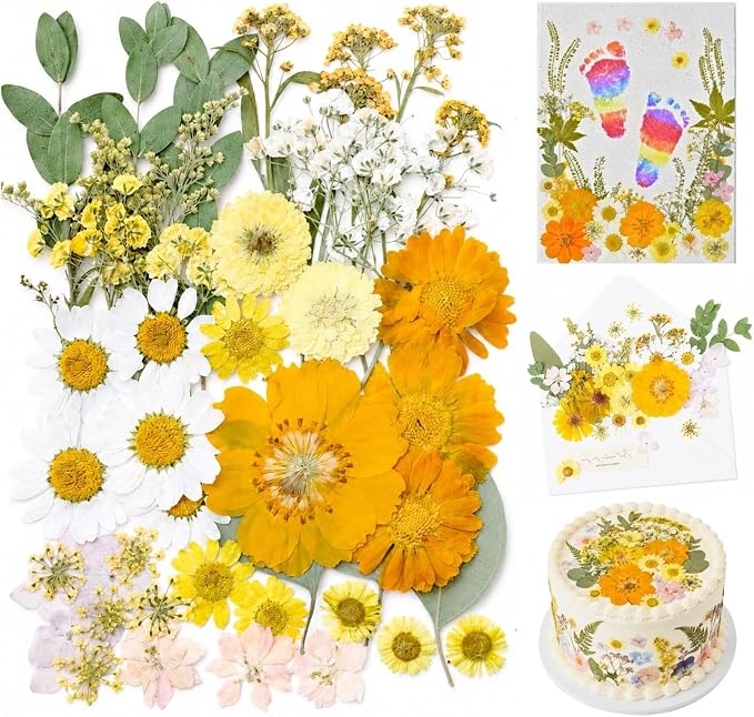 Dried Pressed Flowers for Resin, Scrapbooking, Soap Candle Making, DIY by VitalForest