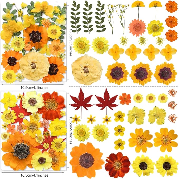 150PCS Yellow Dried Pressed Flowers - Image 4