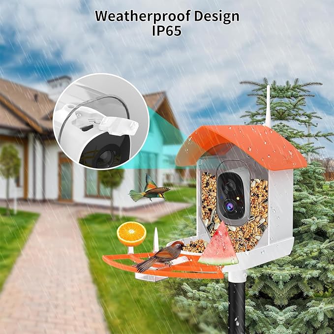 Bird Feeder with Camera, AI Identify Birds Species, Smart Birds Camera with - Image 4