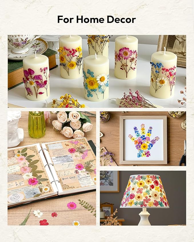 Dried Flowers, Resiners 100Pcs Pressed Flowers - Image 3