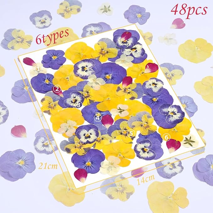 48 Pcs Mix Natural Dried Flowers - Image 3