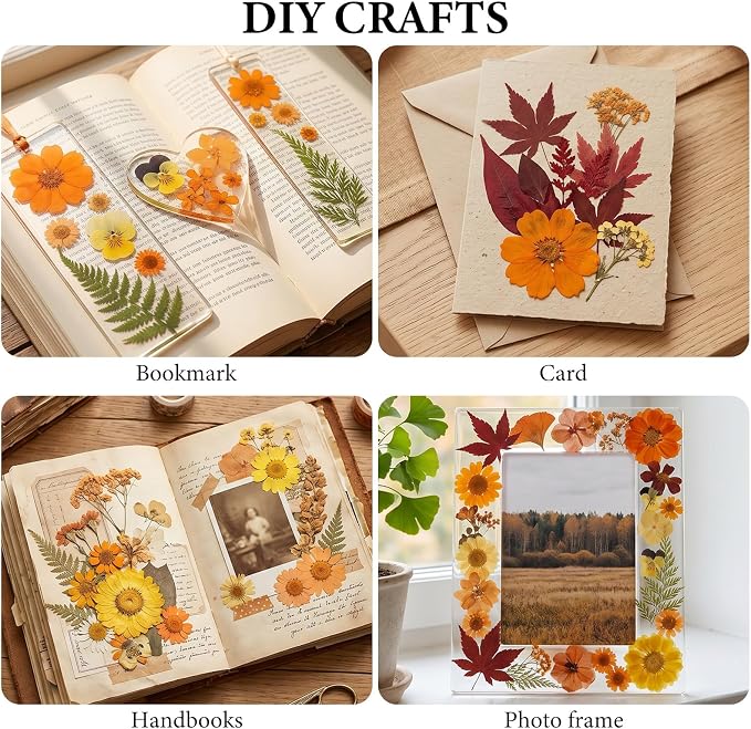 NESCCI 350 Pcs Orange Fall Dried Flowers - Image 4