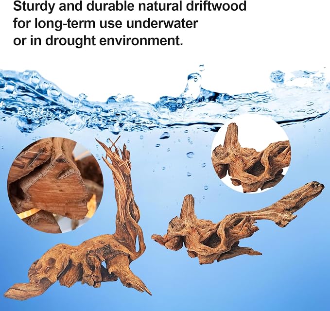 Natural Driftwood Decor for Aquarium Decorations Reptile Tank Accessories - Image 4