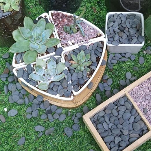 18lb Small Smooth River Rocks Pebbles - Image 7