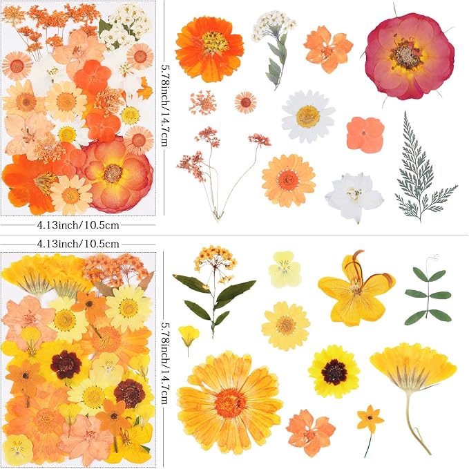 110Pcs Fall Dried Pressed Flowers - Image 3