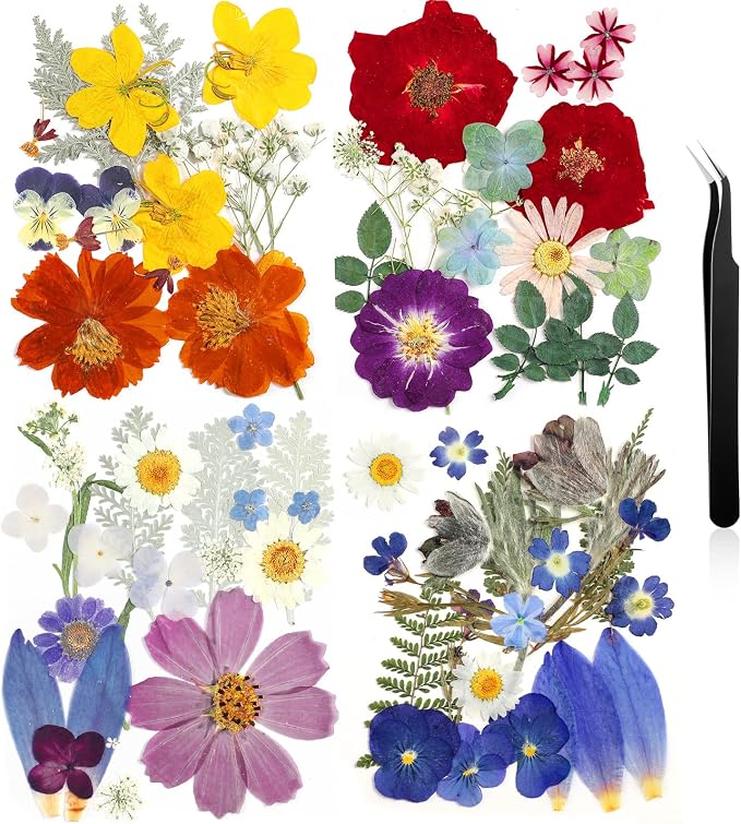 Nuanchu Dried Flower for Resin Crafts Pressed Flowers Bulk, Real Dried by Nuanchu