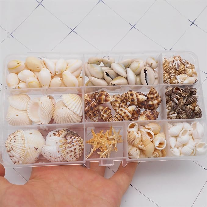 yaokan 10 Styles Natural Sea Shells & Starfish Set - Image 4