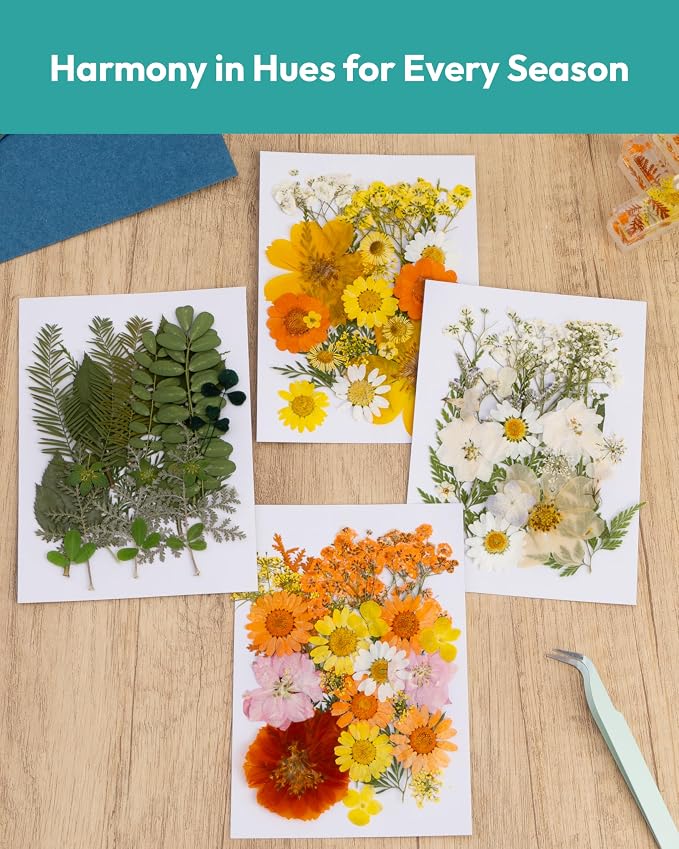 Dried Flowers, Resiners 100Pcs Pressed Flowers - Image 5