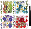 110+ Pcs Dried Flowers for Crafts, Real Pressed Flowers Bulk Small Dried by FULGNU