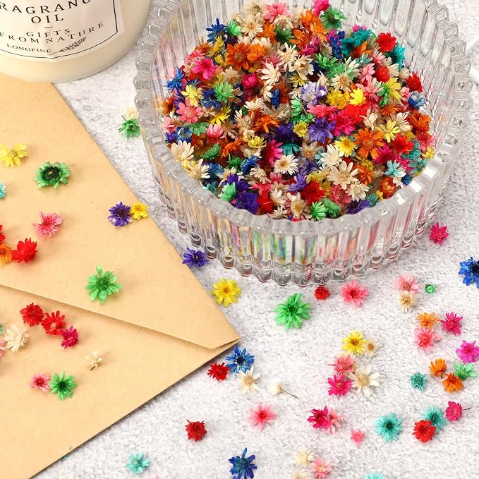 MARFOREVER 420 Pcs Small Dried Flowers - Image 3