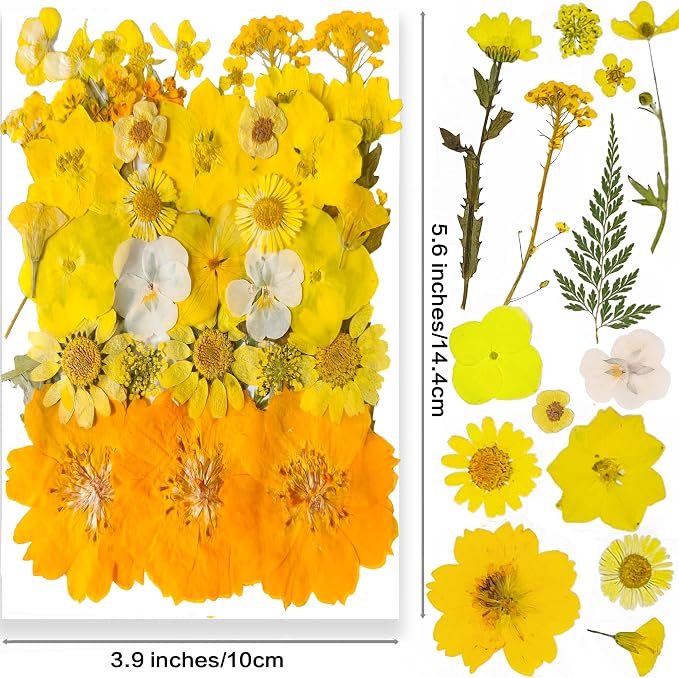 YouthBro Yellow Dried Pressed Flowers - Image 2