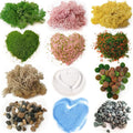 QuarenDen Scenery Basing Material Kit, 12 Bags, Basing Material Kit, Diorama by QuarenDen