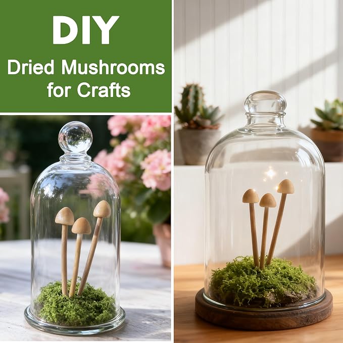 16-Pack Mini Mushrooms for Crafts - Image 6