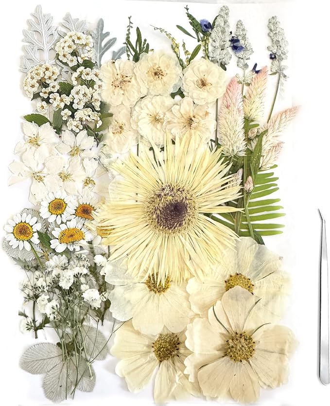 A4 Large Dried Pressed Flowers for Resin Pressed Flowers Real Dry Natural by ZQmino