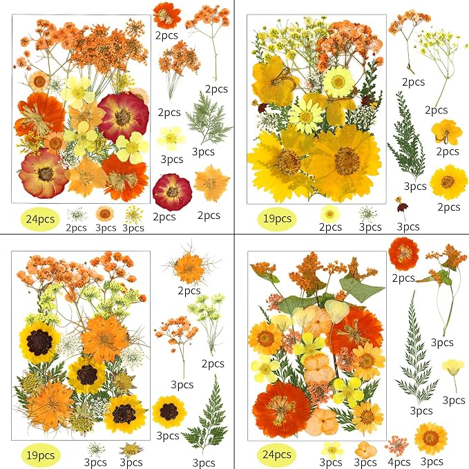 169Pcs Fall Dried Pressed Flowers - Image 2