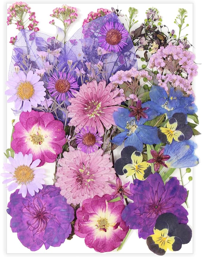 40 Pcs Purple Dried Pressed Flowers Real Natural by Unknown
