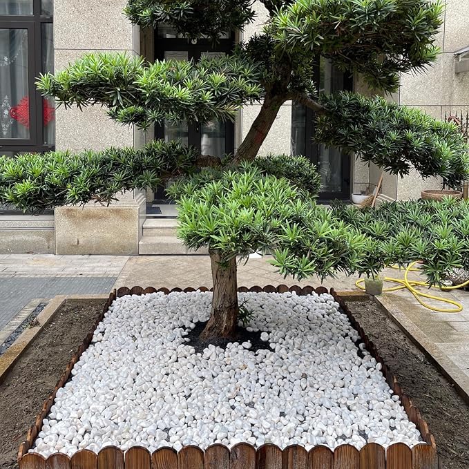 FANTIAN 20 lbs White Rocks for Landscaping, 2-3 Inch Large River Rocks. - Image 5