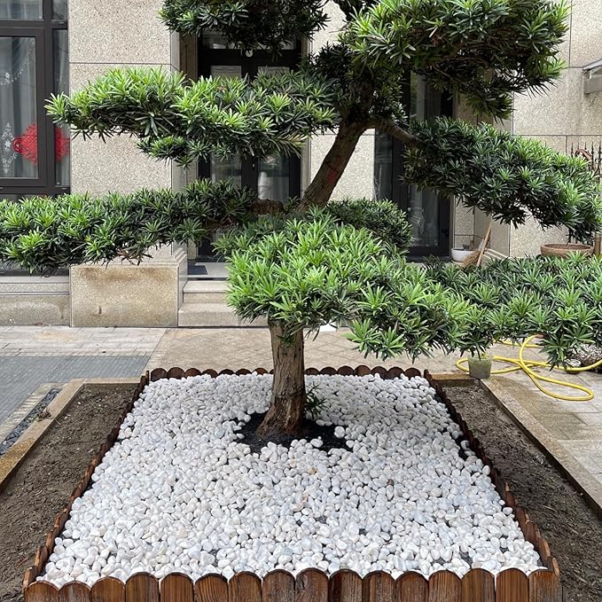FANTIAN 5 lbs White Pebbles for Indoor Plants, 0.5-1 Inch Pea Gravel Stones for - Image 6