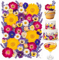 70 Pcs 11kinds Edible Dried Pressed Flowers by Unknown