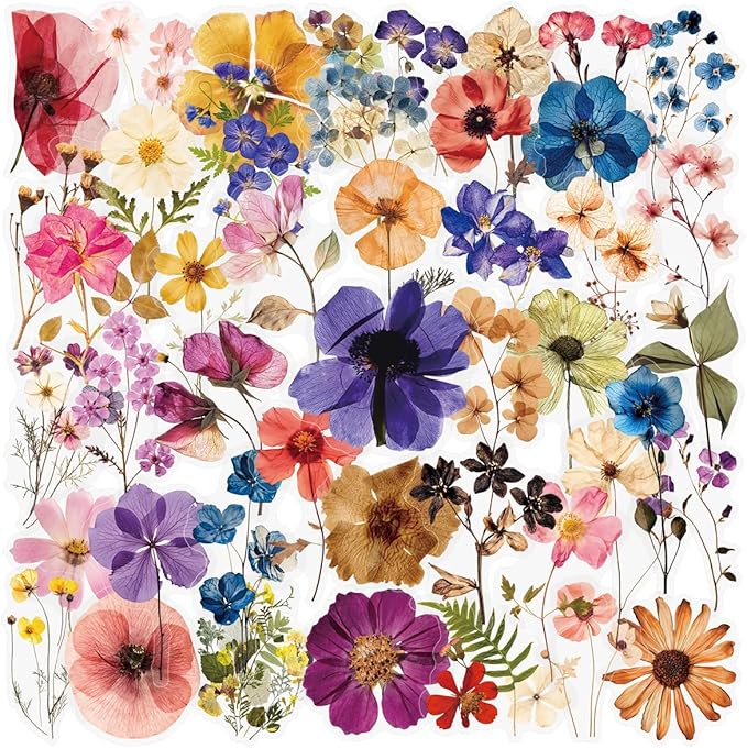 50 PCS Pressed Flowers Stickers Pack, Cute Waterproof PET Transparent Sticker by Unknown